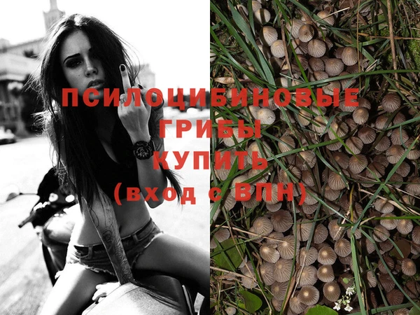 эйфоретик Арсеньев